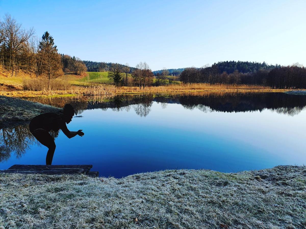 Naturidyll Kollnbergmuehle Furstenstein Екстер'єр фото