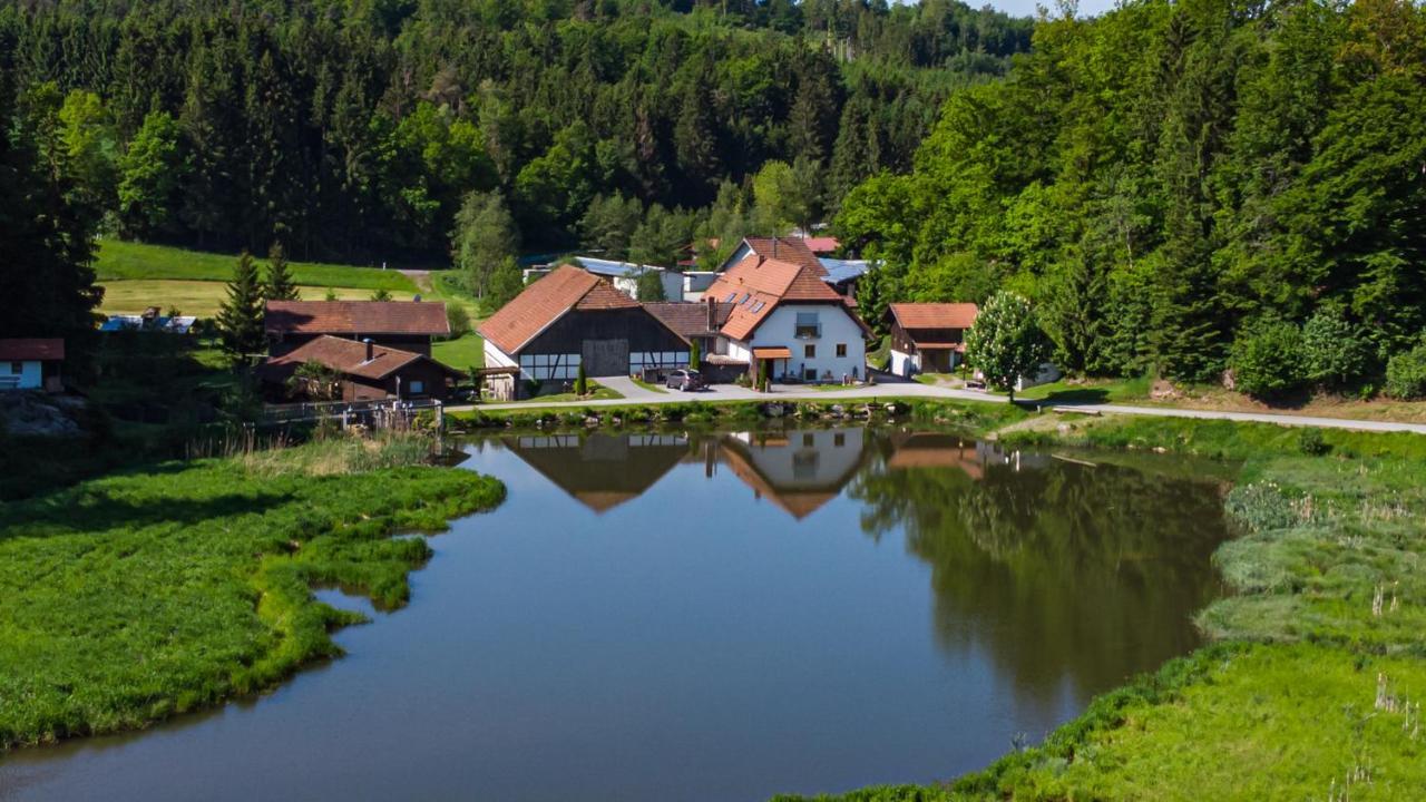 Naturidyll Kollnbergmuehle Furstenstein Екстер'єр фото
